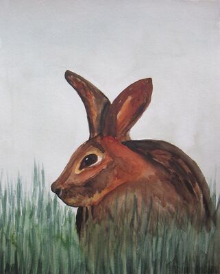 Hase
Aquarell

