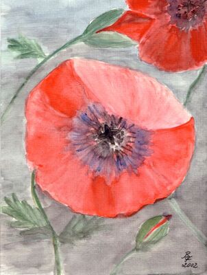 Mohnblume
Aquarell
