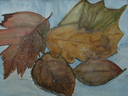 Dateiname=Herbstlaub.JPG
Dateigröße=230KB
Abmessungen: 846x641
hinzugefügt am: 10. September 2019 Herbstlaub.JPG