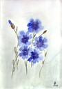 Dateiname=Kornblumen02.jpg
Dateigröße=88KB
Abmessungen: 495x701
hinzugefügt am: 10. September 2019 Kornblumen02.jpg