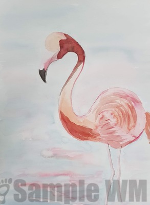 Flamingo 
