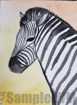 Zebra 02
