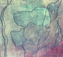 IMG_0721.jpeg