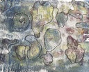 IMG_0722.jpeg