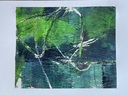 IMG_0748.jpeg